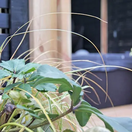 לינה וארוחת בוקר Les Bethunoises & Grand-place Béthune