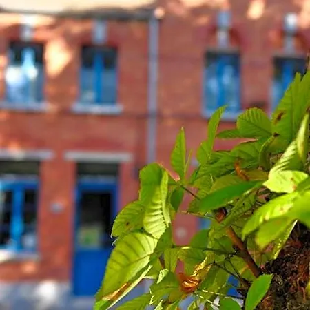 Bed & Breakfast Les Bethunoises & Grand-place